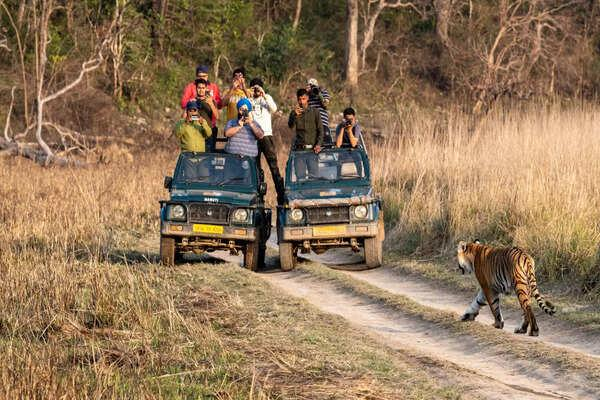 Jim Corbett National Park