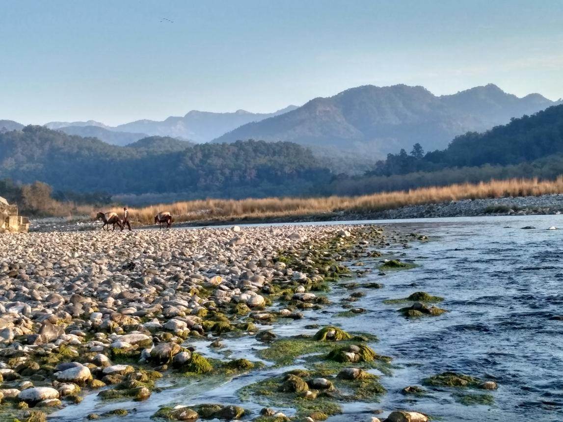 Kosi River